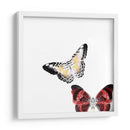 Mariposas Bailar V - A. Project | Cuadro decorativo de Canvas Lab