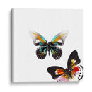 Butterflies Dance Vi - A. Project | Cuadro decorativo de Canvas Lab