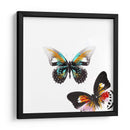 Butterflies Dance Vi - A. Project | Cuadro decorativo de Canvas Lab