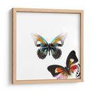 Butterflies Dance Vi - A. Project | Cuadro decorativo de Canvas Lab