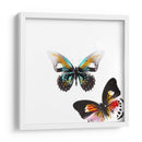 Butterflies Dance Vi - A. Project | Cuadro decorativo de Canvas Lab