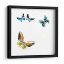 Butterflies Dance Vii - A. Project | Cuadro decorativo de Canvas Lab