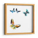 Butterflies Dance Vii - A. Project | Cuadro decorativo de Canvas Lab