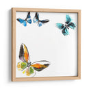 Butterflies Dance Vii - A. Project | Cuadro decorativo de Canvas Lab