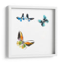 Butterflies Dance Vii - A. Project | Cuadro decorativo de Canvas Lab