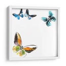 Butterflies Dance Vii - A. Project | Cuadro decorativo de Canvas Lab
