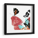 Butterflies Dance Ix - A. Project | Cuadro decorativo de Canvas Lab