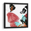 Butterflies Dance Ix - A. Project | Cuadro decorativo de Canvas Lab