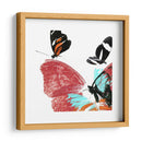 Butterflies Dance Ix - A. Project | Cuadro decorativo de Canvas Lab