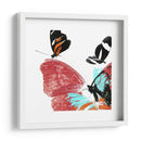Butterflies Dance Ix - A. Project | Cuadro decorativo de Canvas Lab