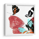 Butterflies Dance Ix - A. Project | Cuadro decorativo de Canvas Lab