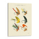 Bass Moscas I - Vision Studio | Cuadro decorativo de Canvas Lab