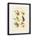 Bass Moscas I - Vision Studio | Cuadro decorativo de Canvas Lab