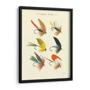 Bass Moscas I - Vision Studio | Cuadro decorativo de Canvas Lab