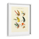 Bass Moscas I - Vision Studio | Cuadro decorativo de Canvas Lab