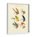 Bass Moscas I - Vision Studio | Cuadro decorativo de Canvas Lab