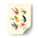 Bass Moscas I - Vision Studio | Cuadro decorativo de Canvas Lab
