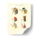 Bass Blies Ii - Vision Studio | Cuadro decorativo de Canvas Lab