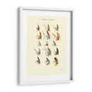 Trucha Vuela I - Vision Studio | Cuadro decorativo de Canvas Lab