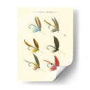 Lago Moscas Ii - Vision Studio | Cuadro decorativo de Canvas Lab