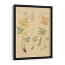 Natures Lace I - C.E. Faxon | Cuadro decorativo de Canvas Lab