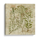 Versos De Jardín I - Vision Studio | Cuadro decorativo de Canvas Lab