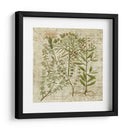 Versos De Jardín I - Vision Studio | Cuadro decorativo de Canvas Lab