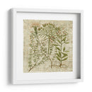 Versos De Jardín I - Vision Studio | Cuadro decorativo de Canvas Lab