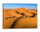 Camellos en las dunas | Cuadro decorativo de Canvas Lab