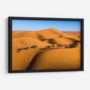 Camellos en las dunas | Cuadro decorativo de Canvas Lab