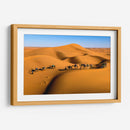 Camellos en las dunas | Cuadro decorativo de Canvas Lab