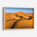Camellos en las dunas | Cuadro decorativo de Canvas Lab