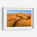 Camellos en las dunas | Cuadro decorativo de Canvas Lab
