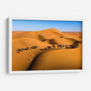 Camellos en las dunas | Cuadro decorativo de Canvas Lab