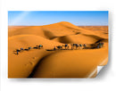 Camellos en las dunas | Cuadro decorativo de Canvas Lab