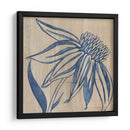 Indigo Coneflower - Chariklia Zarris | Cuadro decorativo de Canvas Lab