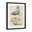 Antiguo Heron Iv | Cuadro decorativo de Canvas Lab