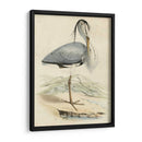 Antiguo Heron Iv | Cuadro decorativo de Canvas Lab