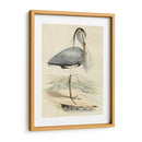 Antiguo Heron Iv | Cuadro decorativo de Canvas Lab