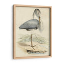 Antiguo Heron Iv | Cuadro decorativo de Canvas Lab