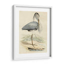 Antiguo Heron Iv | Cuadro decorativo de Canvas Lab