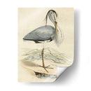 Antiguo Heron Iv | Cuadro decorativo de Canvas Lab