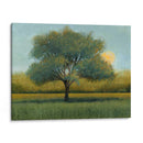 Amanecer I - Tim OToole | Cuadro decorativo de Canvas Lab