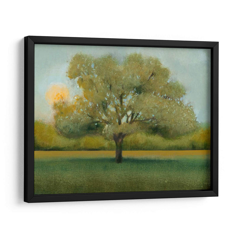 Sunrise Ii - Tim OToole | Cuadro decorativo de Canvas Lab