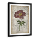 Floral Francesa - Jennifer Goldberger | Cuadro decorativo de Canvas Lab