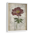 Floral Francesa - Jennifer Goldberger | Cuadro decorativo de Canvas Lab