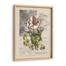 Jardín En Junio Iii - D. Bookman | Cuadro decorativo de Canvas Lab