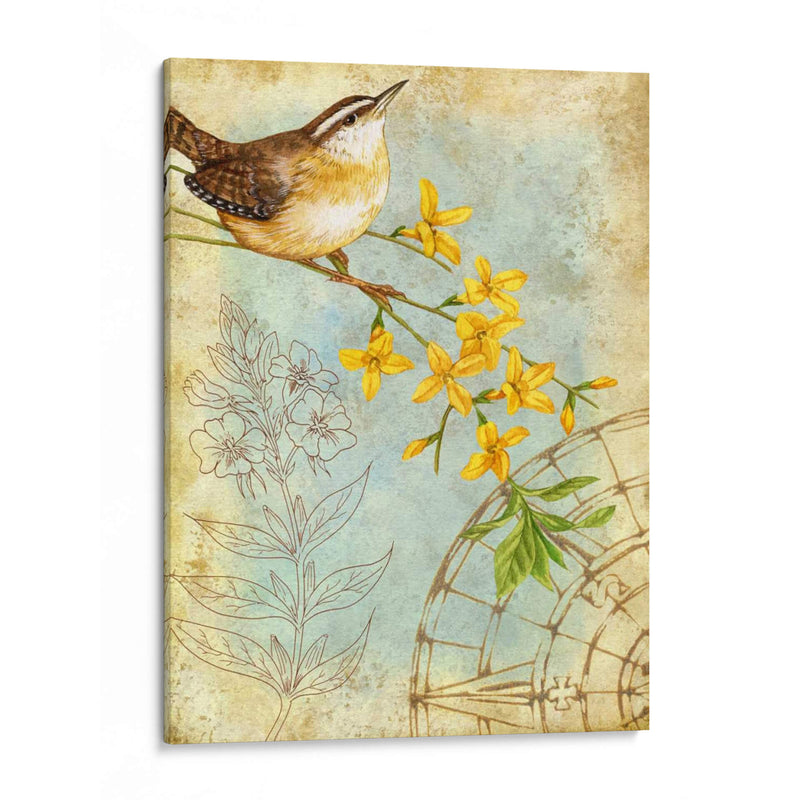 Sketchbook De Songbird I - Jane Maday | Cuadro decorativo de Canvas Lab