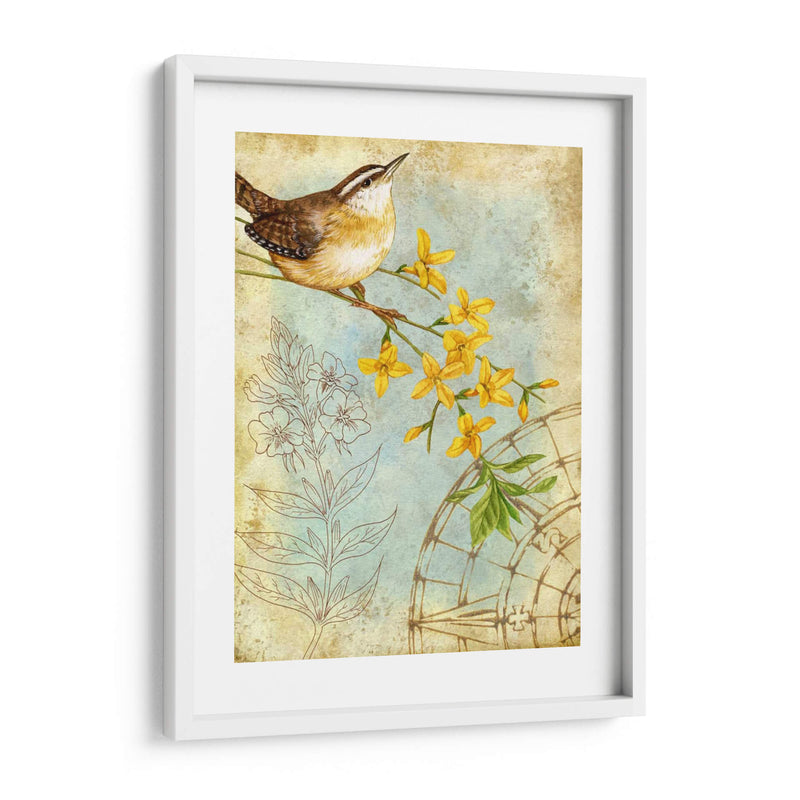 Sketchbook De Songbird I - Jane Maday | Cuadro decorativo de Canvas Lab