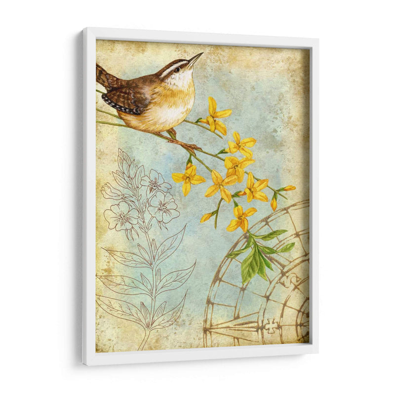 Sketchbook De Songbird I - Jane Maday | Cuadro decorativo de Canvas Lab